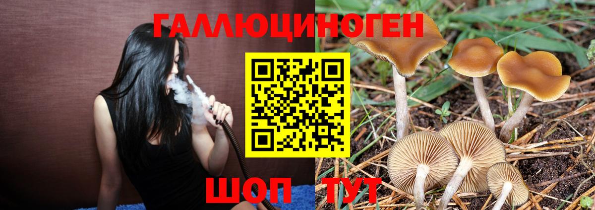 Псилоцибиновые грибы мицелий Рязань