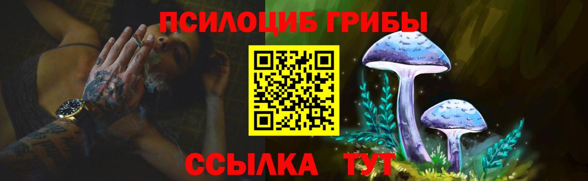 Псилоцибиновые грибы мухоморы  Вход с VPN  Рязань  Галлюциногенные грибы Psilocybine cubensis 